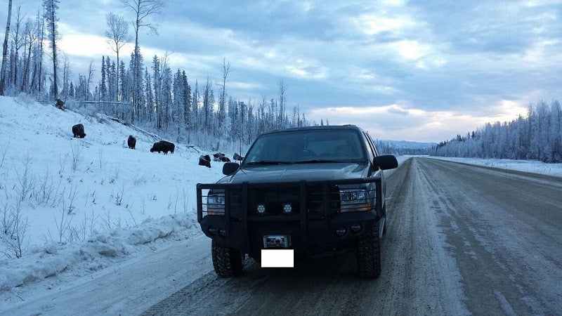 1999-2004 Ford F250/F350 Front Bumper - Iron Bull BumpersFRONT IRON BUMPER